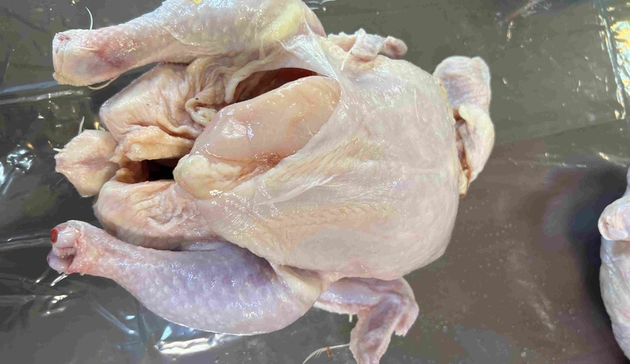 دیتاست مرغ