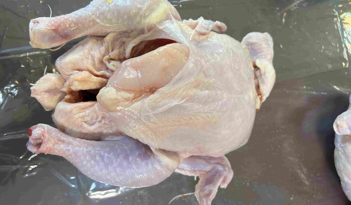 دیتاست مرغ
